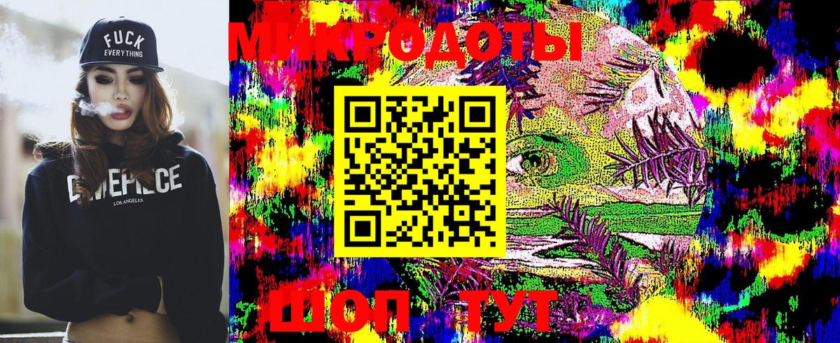 Галлюциногенные грибы Psilocybe Большой Камень